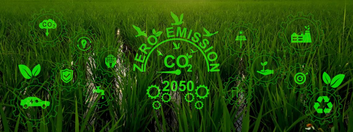 Nulové emise do roku 2050, je to vůbec možné?