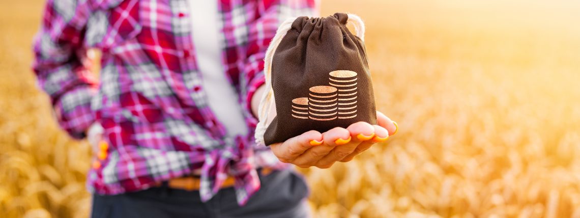 Jak fungují dotace na fotovoltaiku?